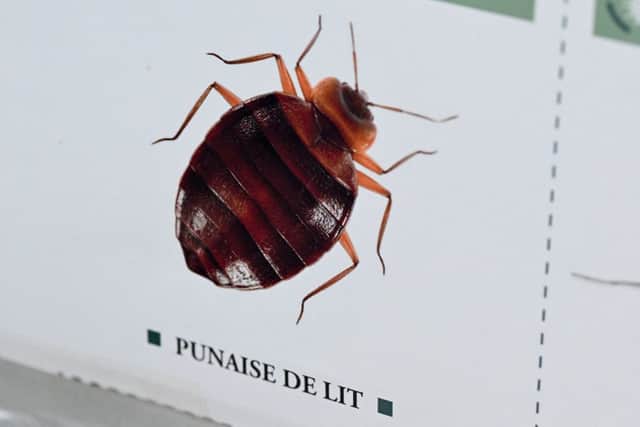 A bedbug epidemic has sent waves of panic throughout Paris 