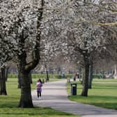 East London’s Victoria Park. Credit: Tolga Akmen/AFP via Getty Images.