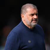 Ange Postecoglou could sell an experienced defender in Janaury. (Getty Images)
