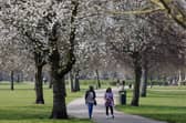 Victoria Park in east London. Credit: Tolga Akmen/AFP via Getty Images.