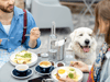 5 dog-friendly restaurants in London you dine at with your pooch