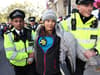 Greta Thunberg arrested after joining protesters outside Energy Intelligence Forum in London