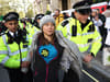 Greta Thunberg charged with 25 others after central London climate protest