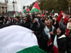 Estimated 100,000 people join pro-Palestine march through central London - in photos