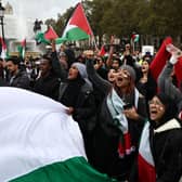 An estimated 100,000 people took part in the pro-Palestine march in London on October 21. Credit: Henry Nicholls/AFP via Getty Images.
