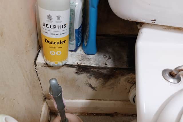 Some of the black mould in Chris's bathroom. Credit: Ben Lynch.