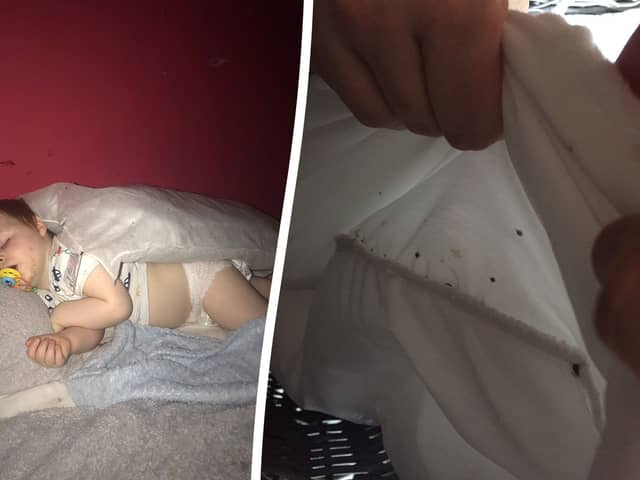 The Henderson family - Mark, Chelsea, Ewan and Riley - lived with a bed bug infestation in a one-bed council flat in Fulham. (Photo by SWNS)