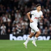 Alejo Veliz of Tottenham Hotspur is substituted on during the Premier League match between Tottenham Hotspur (Photo by Ryan Pierse/Getty Images)