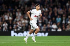 Alejo Veliz of Tottenham Hotspur is substituted on during the Premier League match between Tottenham Hotspur (Photo by Ryan Pierse/Getty Images)