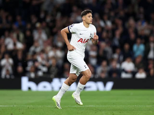 Alejo Veliz of Tottenham Hotspur is substituted on during the Premier League match between Tottenham Hotspur (Photo by Ryan Pierse/Getty Images)