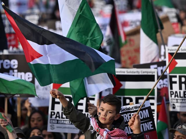 A young protester waves a Palestinian flag during the 'London Rally For Palestine' in Trafalgar Square. Credit: Justin Tallis/AFP via Getty Images.
