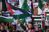 A young protester waves a Palestinian flag during the 'London Rally For Palestine' in Trafalgar Square. Credit: Justin Tallis/AFP via Getty Images.