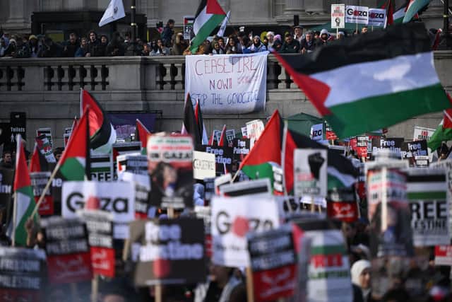 Protesters gather with placards and flags calling for a ceasefire. Credit: Justin Tallis/AFP via Getty Images.