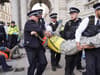 Just Stop Oil: Cenotaph claims are 'a lie', says group as 100 arrests in Whitehall