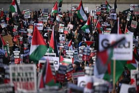 Hundreds of thousands of people have joined the pro-Palestine marches in London so far. Credit: Justin Tallis/AFP via Getty Images