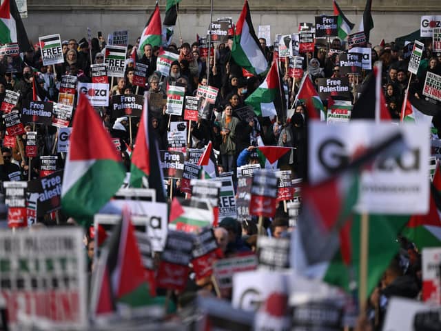 Hundreds of thousands of people have joined the pro-Palestine marches in London so far. Credit: Justin Tallis/AFP via Getty Images