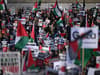 Protests in London this weekend: Pro-Palestine demonstrations on Armistice Day ahead of Remembrance Sunday