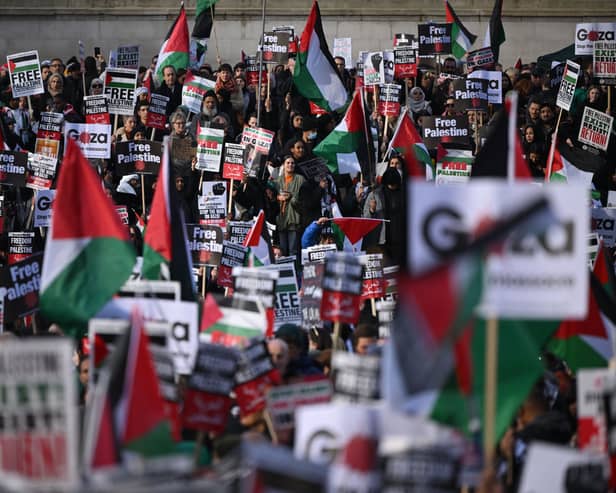 Hundreds of thousands of people have joined the pro-Palestine marches in London so far. Credit: Justin Tallis/AFP via Getty Images