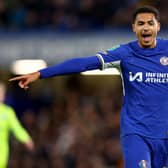 Levi Colwill of Chelsea gestures during the Carabao Cup Fourth Round match between Chelsea and Blackburn Rovers at Stamford Bridge on November