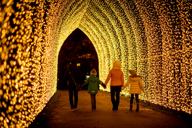 The Christmas Cathedral is a favourite at Kew Gardens. Credit: RBG Kew, Jeff Eden.