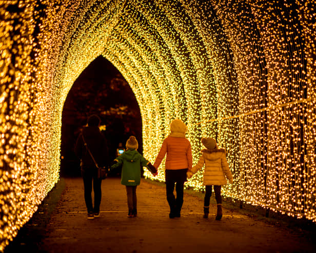 The Christmas Cathedral is a favourite at Kew Gardens. Credit: RBG Kew, Jeff Eden.
