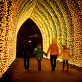 The Christmas Cathedral is a favourite at Kew Gardens. Credit: RBG Kew, Jeff Eden.
