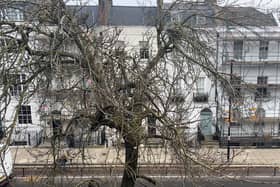 Snow fell in north London on Friday December 1. (Photo by André Langlois)