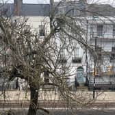 Snow fell in north London on Friday December 1. (Photo by André Langlois)