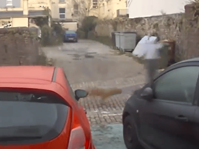 The man had denied being in the area at the time, but he and the dog were recorded on a doorbell camera (RSPCA/SWNS)