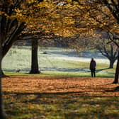 A woman walks through Waterlow Park, Highgate, in sub-zero temperatures.  (Photo by Leon Neal/Getty Images)