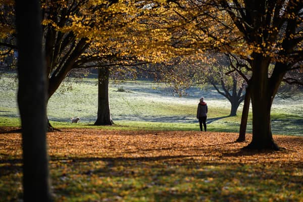 A woman walks through Waterlow Park, Highgate, in sub-zero temperatures.  (Photo by Leon Neal/Getty Images)
