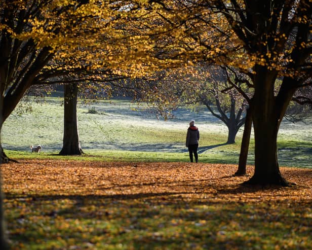 A woman walks through Waterlow Park, Highgate, in sub-zero temperatures.  (Photo by Leon Neal/Getty Images)