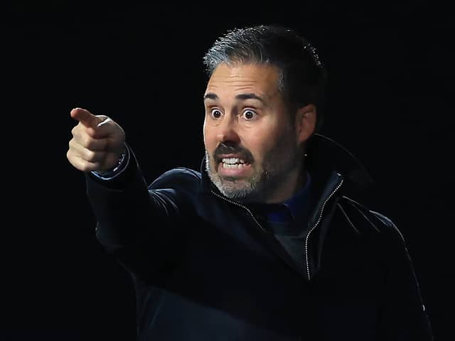 Marti Cifuentes is realistic but  hopeful about QPR's business this month.