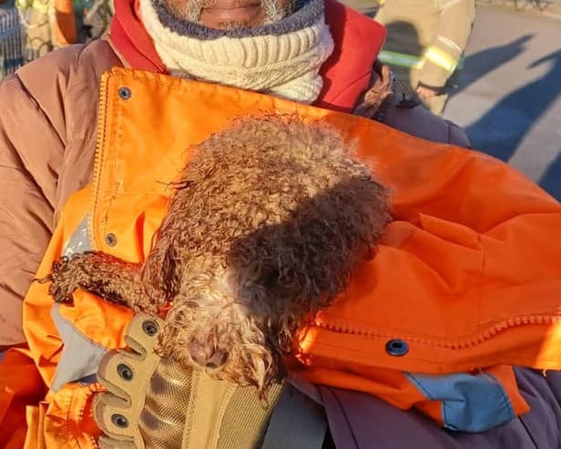 Ponzo was rescued from the icy lake by firefighters