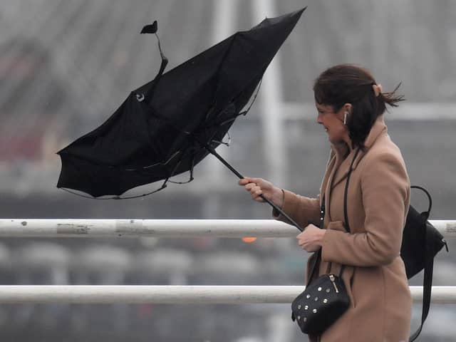 Storm Isha will bring strong winds and heavy rain to London