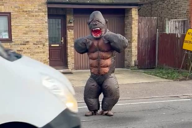 Lee Chapman donning a gorilla suit to cheer up frustrated drivers in Watford. (Photo by Sally Chapman / SWNS)