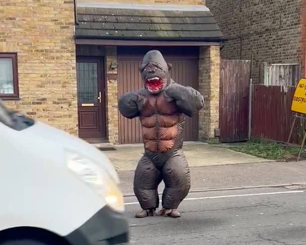 Lee Chapman donning a gorilla suit to cheer up frustrated drivers in Watford. (Photo by Sally Chapman / SWNS)