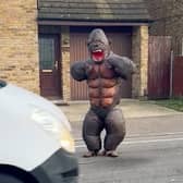Lee Chapman donning a gorilla suit to cheer up frustrated drivers in Watford. (Photo by Sally Chapman / SWNS)