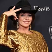 Shania Twain at a Grammy Awards pre-show gala honoring Jon Platt at The Beverly Hilton on February 3, 2024 in Beverly Hills, California. (Photo by Amy Sussman/Getty Images)