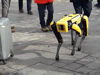 Watch: Robot dog plays among the fountains at Granary Square in King's Cross