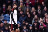 Armando Broja is set to return for Fulham this weekend.