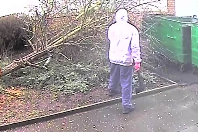 Video shows a masked man hacking at bird feeders in a tree in east London.