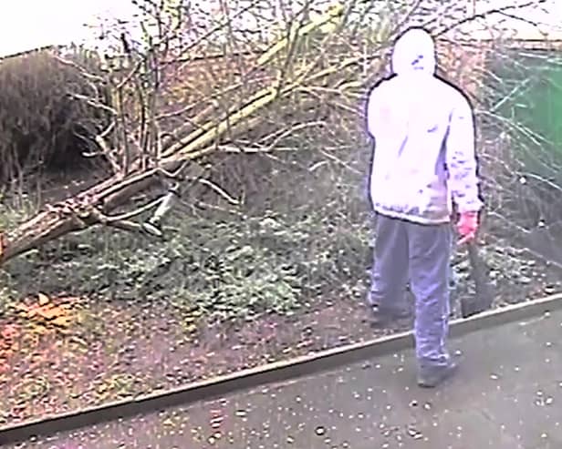 Video shows a masked man hacking at bird feeders in a tree in east London.