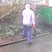 Video shows a masked man hacking at bird feeders in a tree in east London.