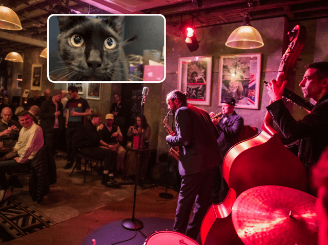 Alfie's is a new jazz club in Soho's Greek Street.