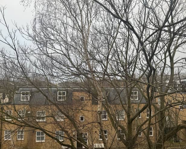 House prices in London rose in February 2024.