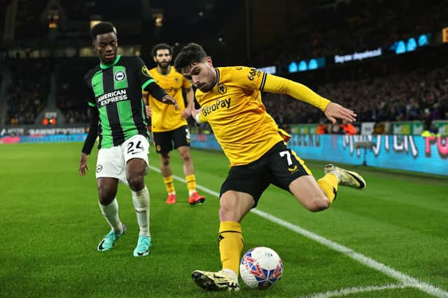 Pedro Neto in action for Wolves against Brighton