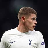 Van de Ven has picked up a suspected hamstring injury but the good news is that it is not thought to be a major setback. Postecoglou has admitted he is 'unlikely' to face Fulham but they are still 'getting all the information in'