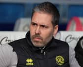 Championship survival is in sight for Marti Cifuentes and QPR.