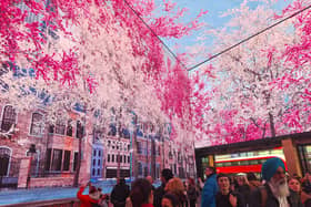 Cherry blossom in the National Trust's Nature’s Confetti immersive experience at Outernet in London.